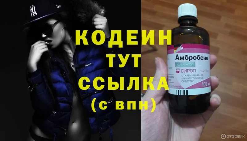 Кодеин Purple Drank  закладка  Бакал 