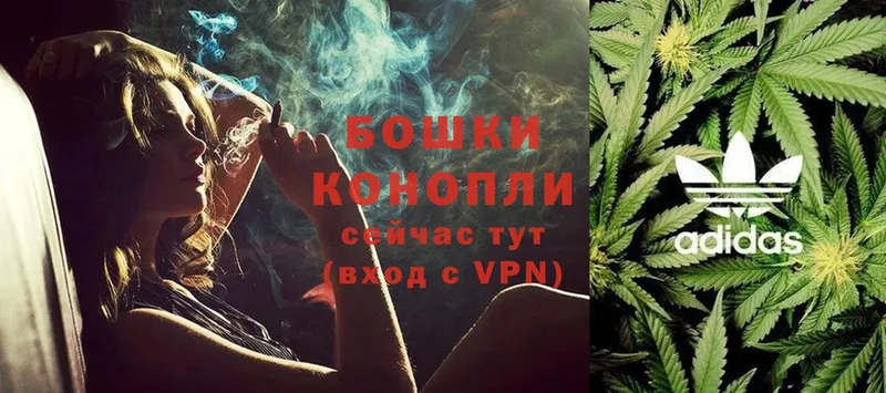 Марихуана OG Kush  где купить   Бакал 